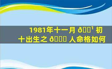 1981年十一月 🌹 初十出生之 🍁 人命格如何